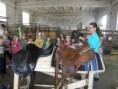 /album/farma-bitozeves/farma-bitozeves-24-jpg/